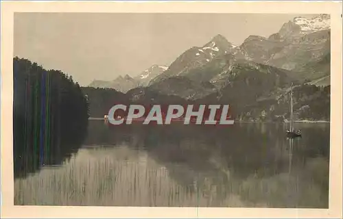 Cartes postales Sils Im Engadin Sommermorgen am See