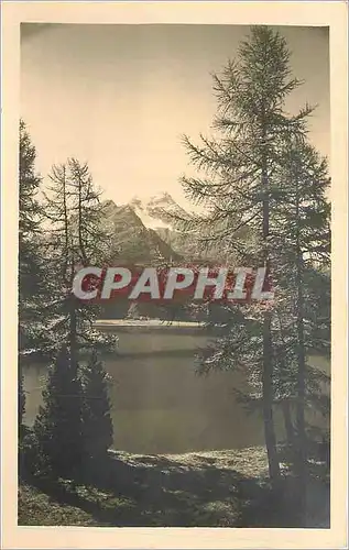 Cartes postales Sils im Engadin Halbinsel Chaste Blick auf Piz della Margna