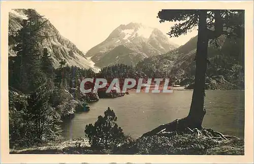 Cartes postales Ober Engadin Der Cavloggio See bei Maloja