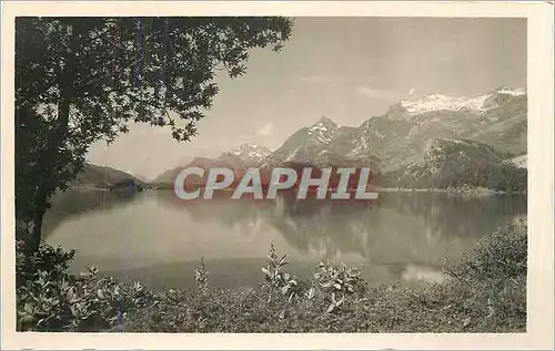 Cartes postales Sils im Engadin Am Silser See