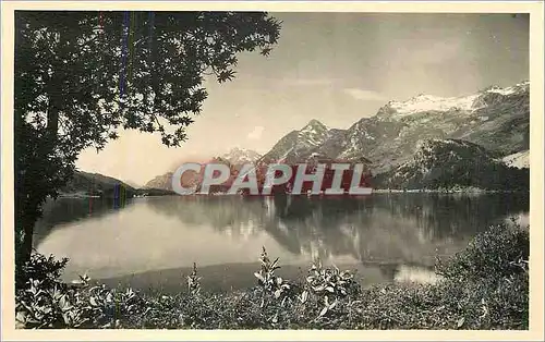 Cartes postales Sils im Engadin Am Silsersee