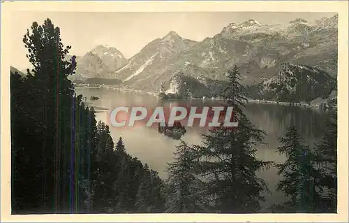 Cartes postales Sils im Engadin Blick von der Bellavista auf den Silsersee