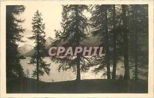 Cartes postales Sils im Engadin Speziergang am See