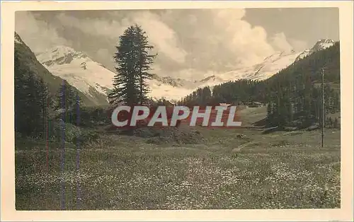 Cartes postales Sils im Engadin Im Fextal