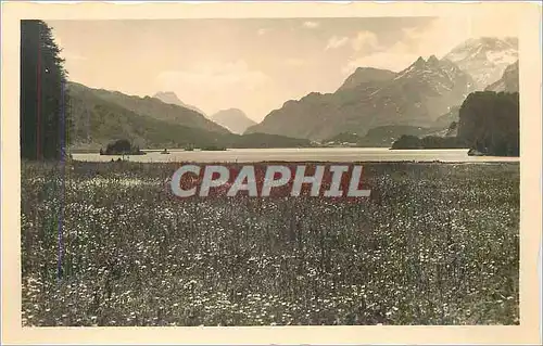 Cartes postales Sils im Engadin Sommertag am Silsersee