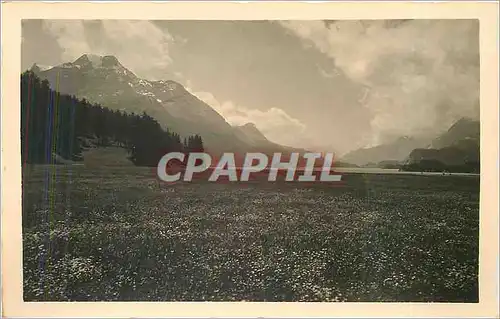 Cartes postales Sils im Engadin Blick uber den Silsersee