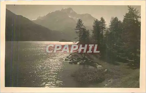 Cartes postales Sils im Engadin Halbinsel Chaste Abendsonne