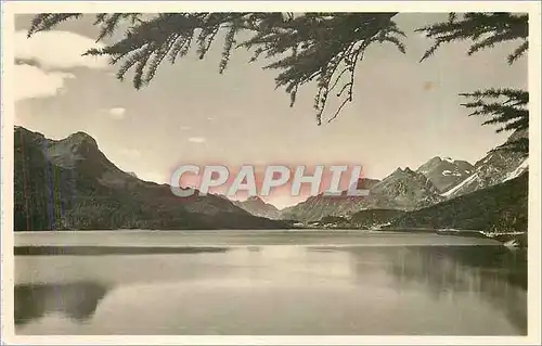 Cartes postales Blick uber den Silsersee auf Maloja Ober Engadin