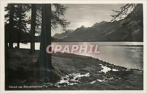 Cartes postales Abend am Silvaplanersee