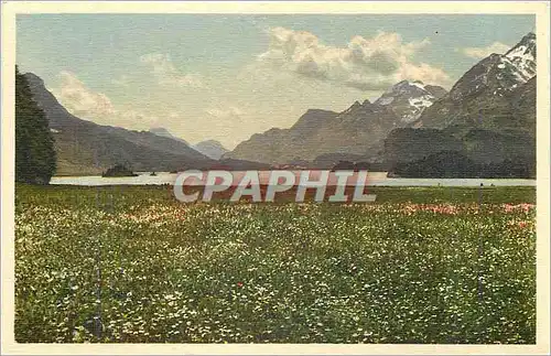 Cartes postales Sils im Engadin Sommer am Silsersee