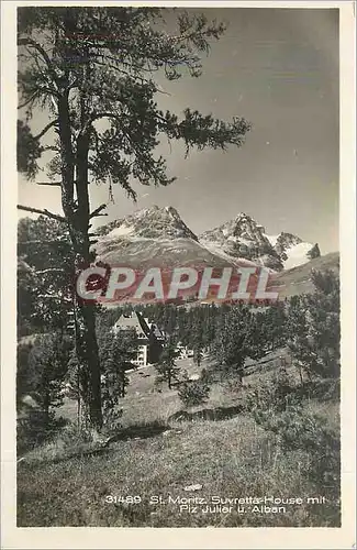 Cartes postales St Moritz Suvretta House Mit Piz Julier U Alban