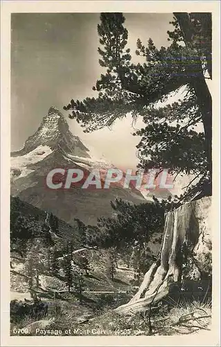 Cartes postales Paysage et Mont Cervin