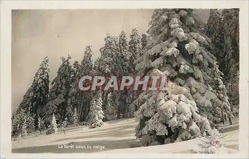 Moderne Karte La Foret sous la neige