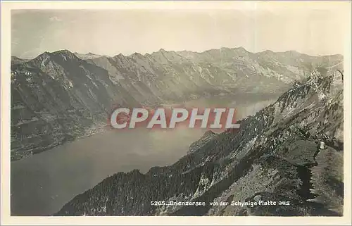 Cartes postales moderne Brienzersee von der Schynige platte aus