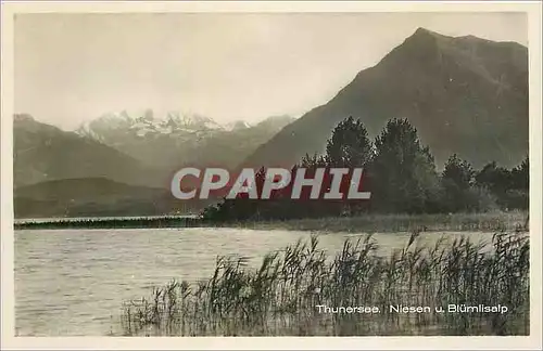 Cartes postales Thunersee Niesen u Blumlisalp