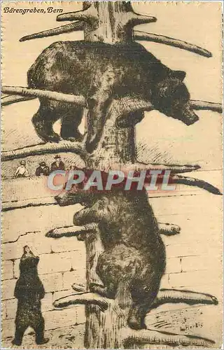 Cartes postales Barengraben Bern