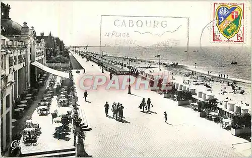 Cartes postales moderne Cabourg la Terrasse des Anglais vers l'Ouest