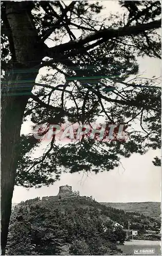 Cartes postales moderne Murol P de D station touristique et estivale le Chateau XIII S