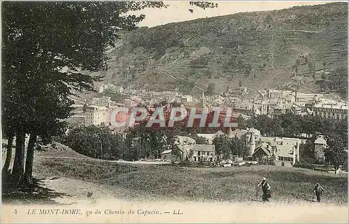 Cartes postales Le Mont Dore vu du chemin du Capucin