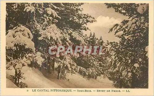 Cartes postales Le Cantal pittoresque Sous Bois effet de neige