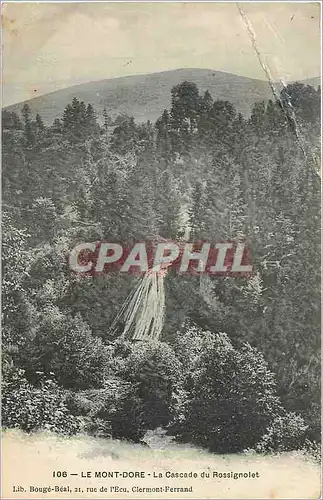 Ansichtskarte AK Le Mont Dore la cascade du Rossignolet