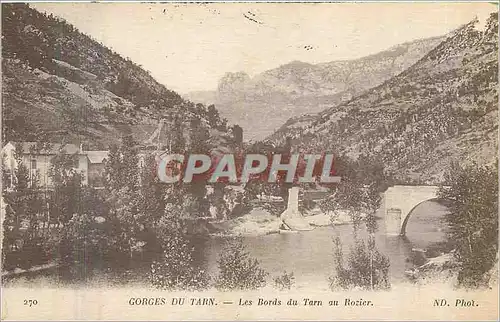Cartes postales Gorges du Tarn les bords du Tarn au Rozier
