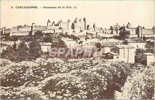 Cartes postales Carcassonne Panorama de la Cite