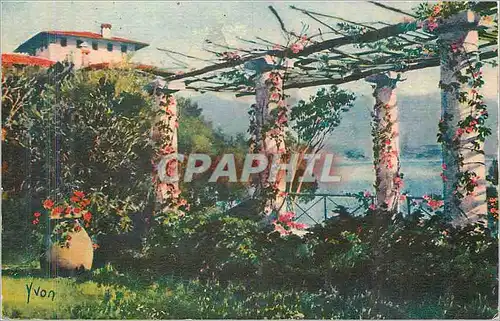 Ansichtskarte AK La Douce France Cote d'Azur Pergola sur le Littoral