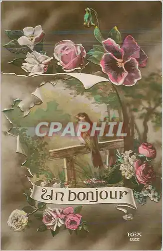 Cartes postales Un Bonjour Oiseau