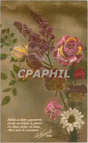 Cartes postales Noble ou bien paysanne