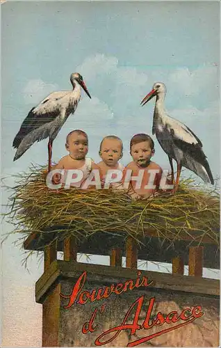 Cartes postales Souvenir d'Alsace Enfants Cigogne