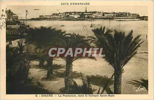 Cartes postales Dinard La Palmeraie dans le lointain Saint Malo