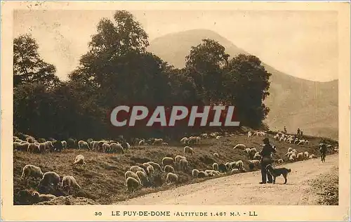 Cartes postales Le Puy de Dome