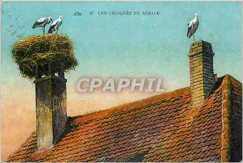 Cartes postales Les Cigognes en Alsace