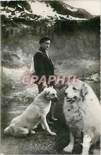 Moderne Karte Les Pyrenees Gardien Chiens