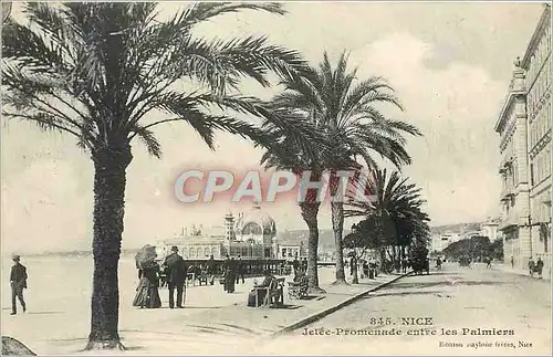 Cartes postales Nice Jetee Promenade entre les Palmiers