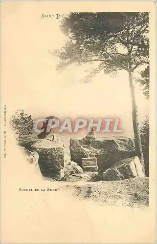 Cartes postales Saint Die Roches de la Bure