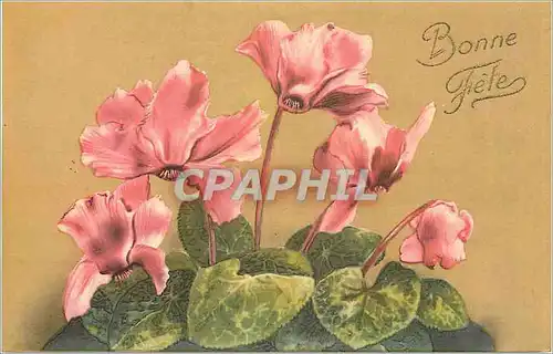 Cartes postales Bonne Fete Fleurs