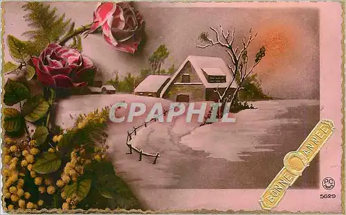 Cartes postales Bonne Annee
