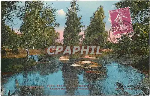 Cartes postales Foret de Fontainebleau