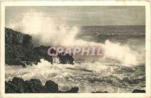 Cartes postales La Mediterranee Effet de Vagues