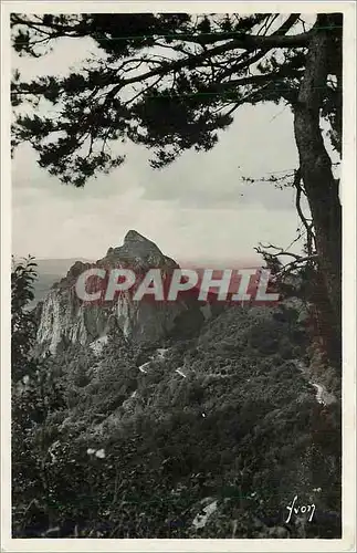 Cartes postales Environs du Mont Dore P de D La roche Tuillerie