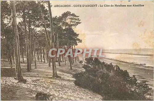 Cartes postales Arcachon Cote d'Argent La Cote du Moulleau aux Abatilles