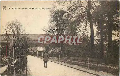 Ansichtskarte AK Dijon Un coin du Jardin de l'Arquebuse