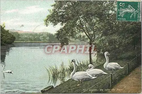 Cartes postales Lyon Un Coin du Parc Cygnes