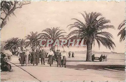 Cartes postales Cannes - Le Cap de la croisette et la promenade