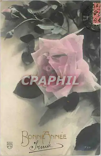 Cartes postales Bonne Annee Fleurs