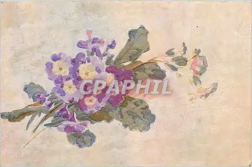 Cartes postales Bonne Annee