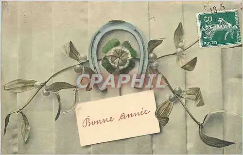 Cartes postales Bonne Annee Fleurs Fer a cheval