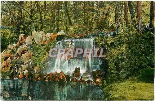 Cartes postales Bonne Annee